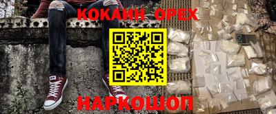 спайс Кингисепп
