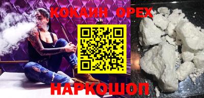 спайс Кингисепп