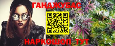 спайс Кингисепп