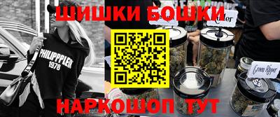 спайс Кингисепп