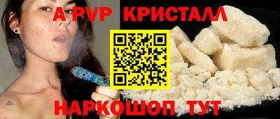 спайс Кингисепп