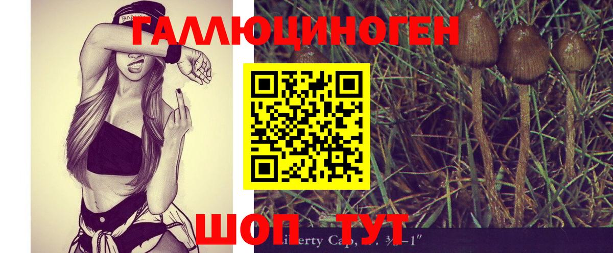 Галлюциногенные грибы мицелий Корсаков