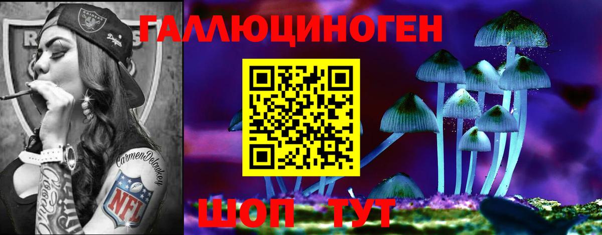 Корсаков  Галлюциногенные грибы ЛСД  Вход с VPN 